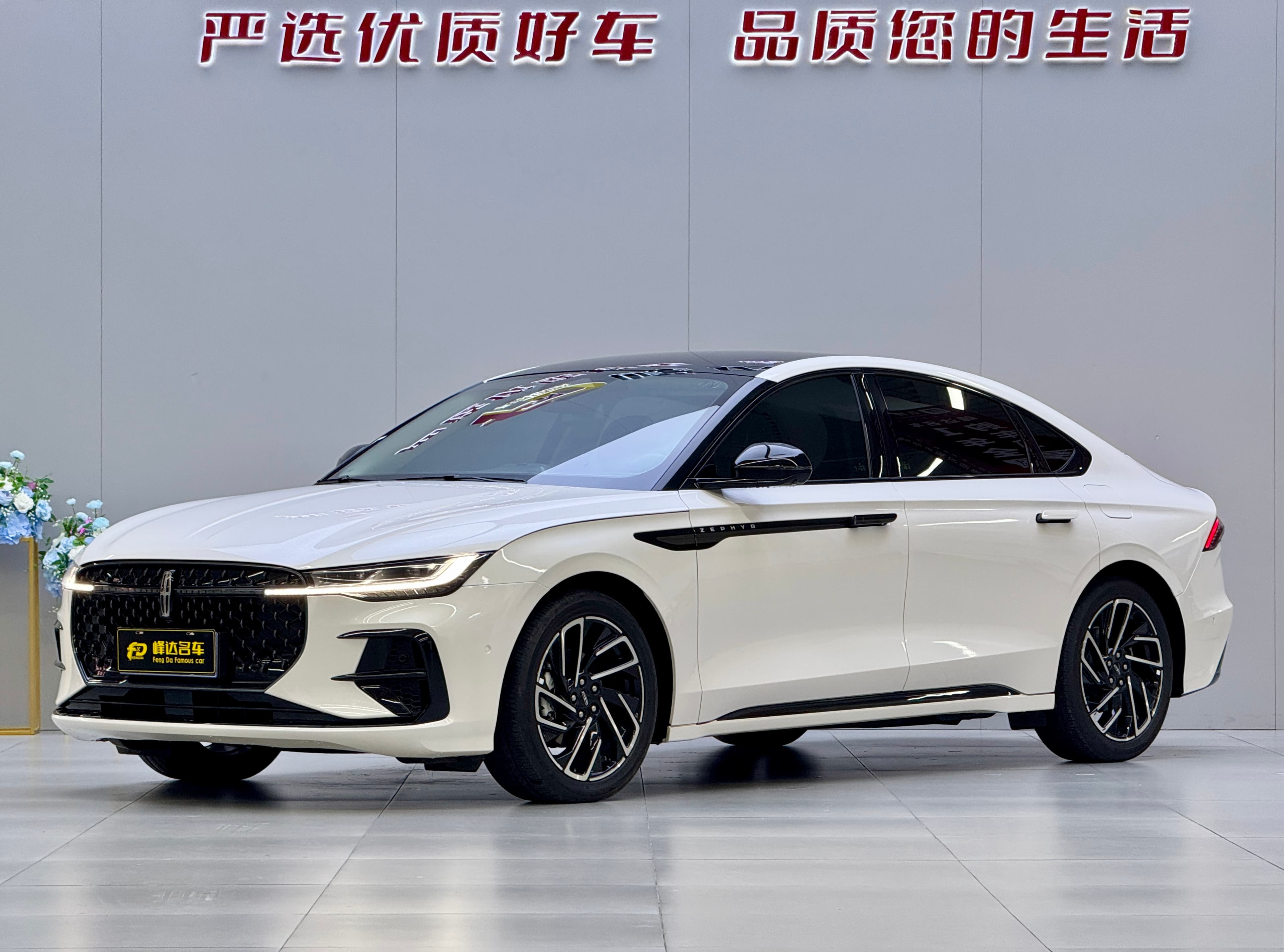 Lincoln 2022 Lincoln Z i-Enjoy Comfort Edition (2.0T) 2024 — photo 1