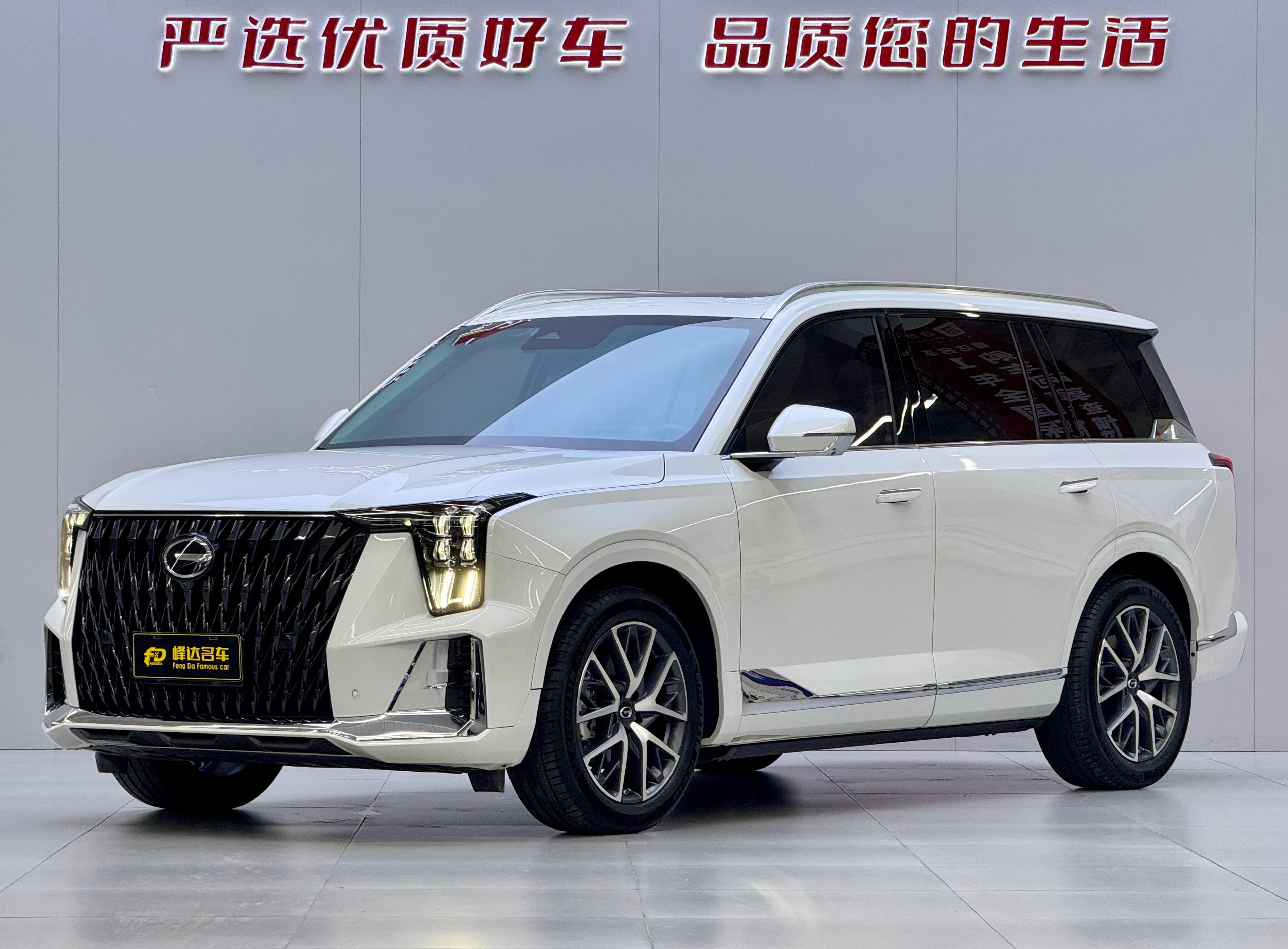 广汽传祺 2022 GAC Trumpchi GS8 Dual Engine 2.0TM 2WD Premium 7-Seater 2023